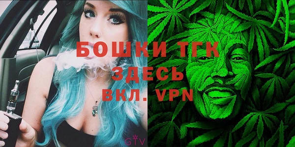 молекула духа Богданович