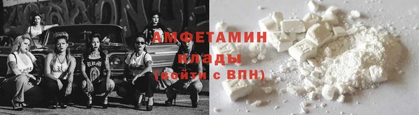 молекула духа Богданович