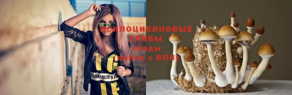 молекула духа Богданович