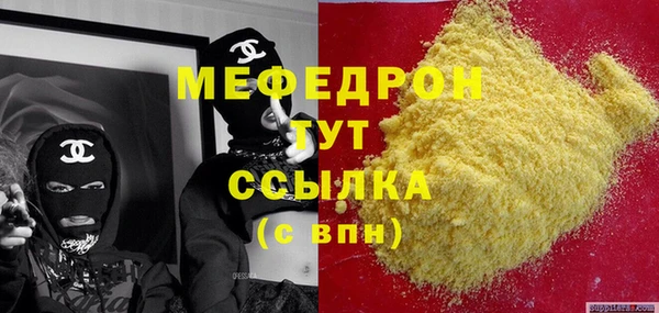 молекула духа Богданович