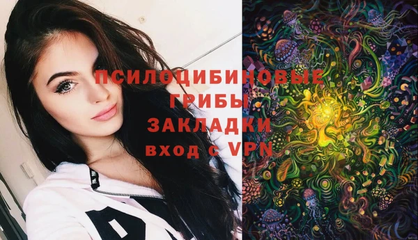молекула духа Богданович