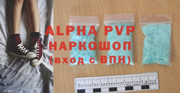 молекула духа Богданович