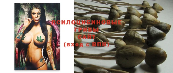 прущий лед Богородицк