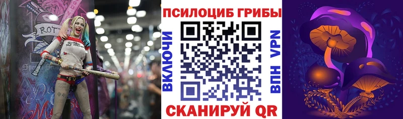 Псилоцибиновые грибы Psilocybe  Кирс 